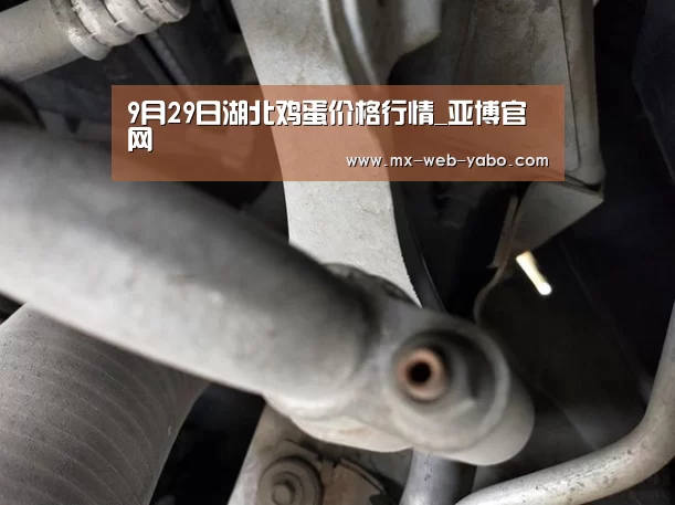 9月29日湖北鸡蛋价格行情_亚博官网