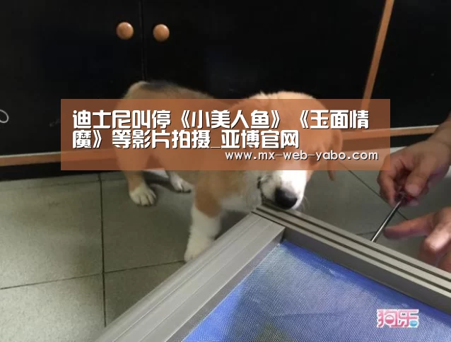 兼容移动与PC端